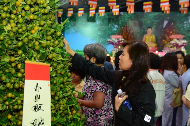 Chùm ảnh: Lễ đón giao thừa Giáp Ngọ 2014 tại chùa Giác Ngộ