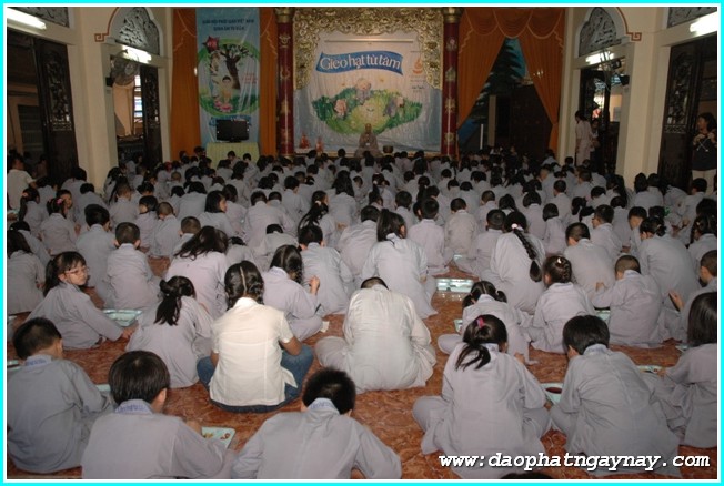 TP. HCM: Gieo Hạt Từ Tâm 25: Kỷ niệm hai năm khóa tu