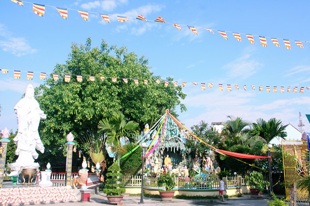 Gia Lai: TX Ngọc Trung tổ chức đại lễ kính mừng Phật đản và kiết giới an cư