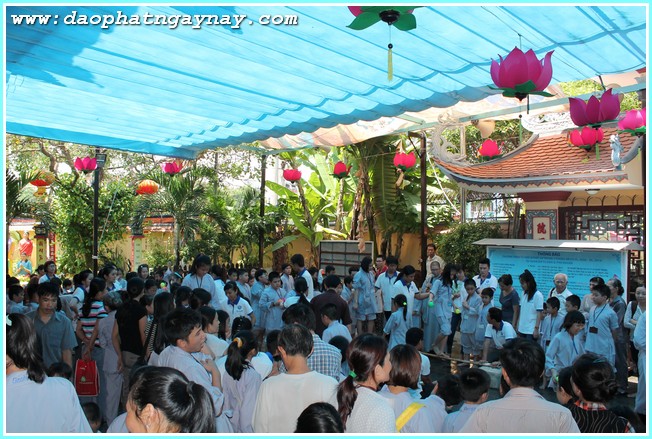 TP. HCM: Chùm ảnh khóa tu Gieo Hạt Từ Tâm 27 - Mùa Hè Cho Bé