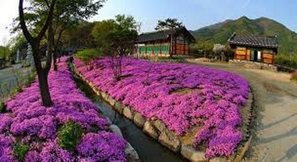 Hàn Quốc: Chuyên mục đặc biệt nhân Đại lễ Phật đản “Một ngày ở chùa trên núi”