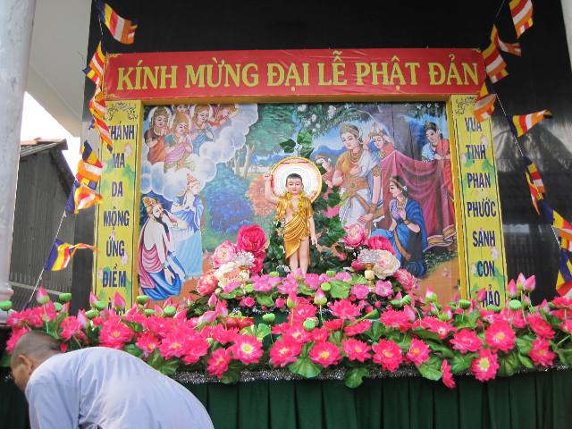 Long An: Chùa Hoà Bình vận động hơn 100 tư gia Phật tử thiết lập vườn Lâm Tỳ Ni