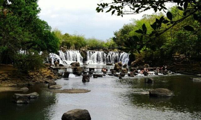 Mời tham dự khóa tu: Lòng từ của đức Phật Gotama