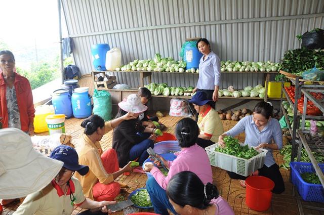 Khai mạc khóa tu mùa hè chủ đề: &quot;hương sen mùa hạ&quot; lần 5  chùa Hoa Khai tại (xã Đạo Nghĩa, huyện Đăk R&#039;lấp, tỉnh Đăk Nông)