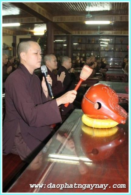 Hà Nội: Phóng Sự Ảnh: Nét Đẹp Mùa An Cư Tại Hà Trường Bồ Đề