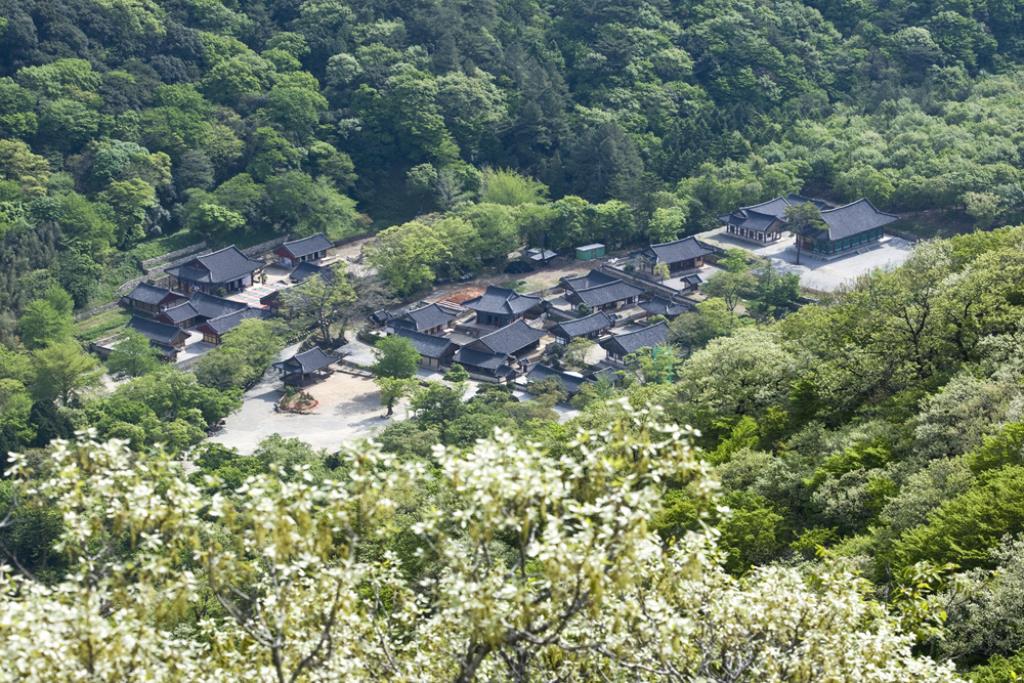 Hàn Quốc Những ngôi Cổ Tự Phật giáo được đăng ký là Di sản Văn hóa Thế giới UNESCO