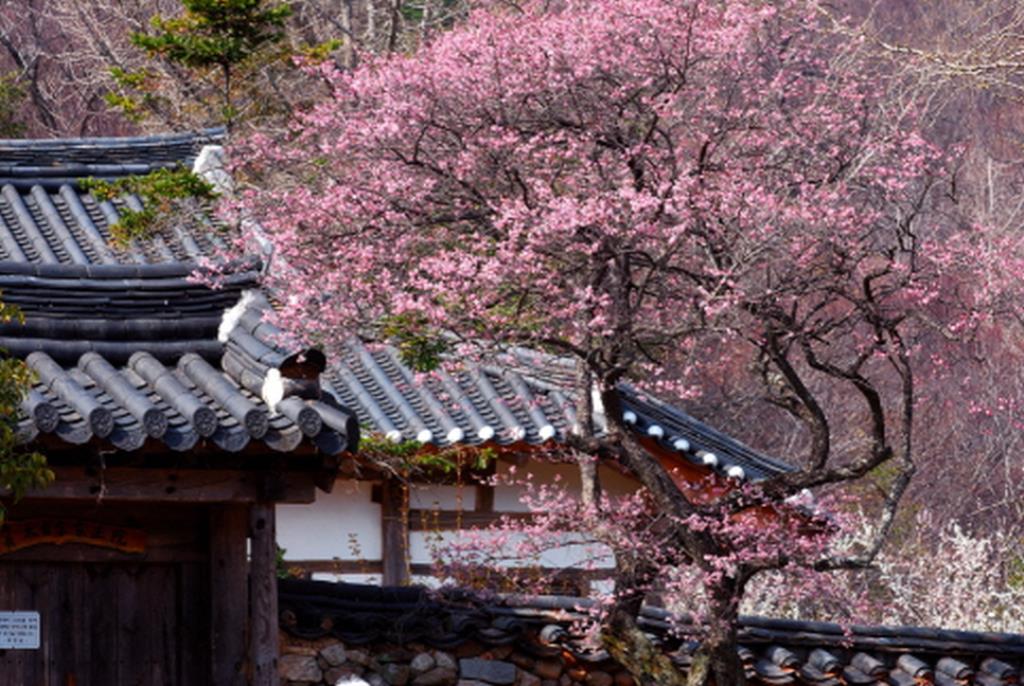 Hàn Quốc Những ngôi Cổ Tự Phật giáo được đăng ký là Di sản Văn hóa Thế giới UNESCO