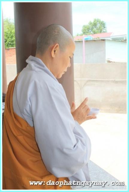 Bình Dương: Phóng Sự Ảnh: &quot;Nét Đẹp Mùa An Cư . PL: 2558&quot;