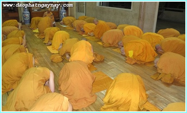 TP.Hồ Chí Minh: Phóng sự ảnh: Nét Đẹp Mùa An Cư - PL: 2558