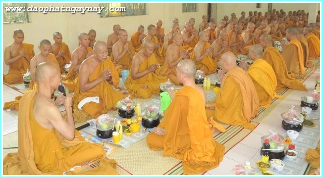 TP.Hồ Chí Minh: Phóng sự ảnh: Nét Đẹp Mùa An Cư - PL: 2558