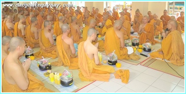 TP.Hồ Chí Minh: Phóng sự ảnh: Nét Đẹp Mùa An Cư - PL: 2558