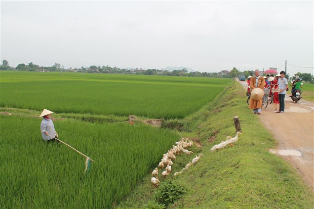 Thanh Hóa: “Hoa Hồng Vào Làng” khởi động mùa Vu Lan – Báo Hiếu