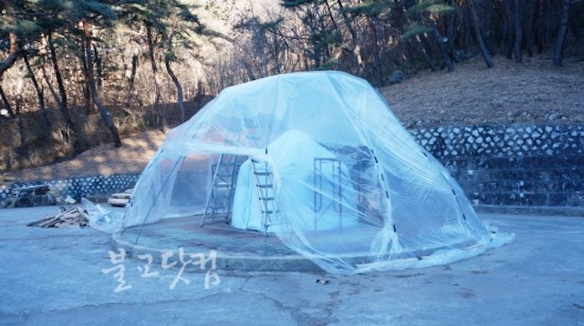 Hàn Quốc Thiền sư Pháp Truyền,  lãnh đạo tinh thần tối cao cho Thiền phái Tào Khê tân Viên tịch