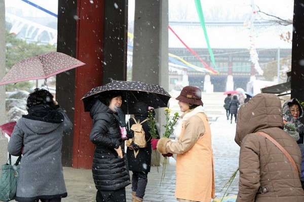 Hàn Quốc: Chùa Phụng An hưởng ứng ngày Đông chí và chia sẻ cháo đậu đỏ cho hơn 20.000 người ăn