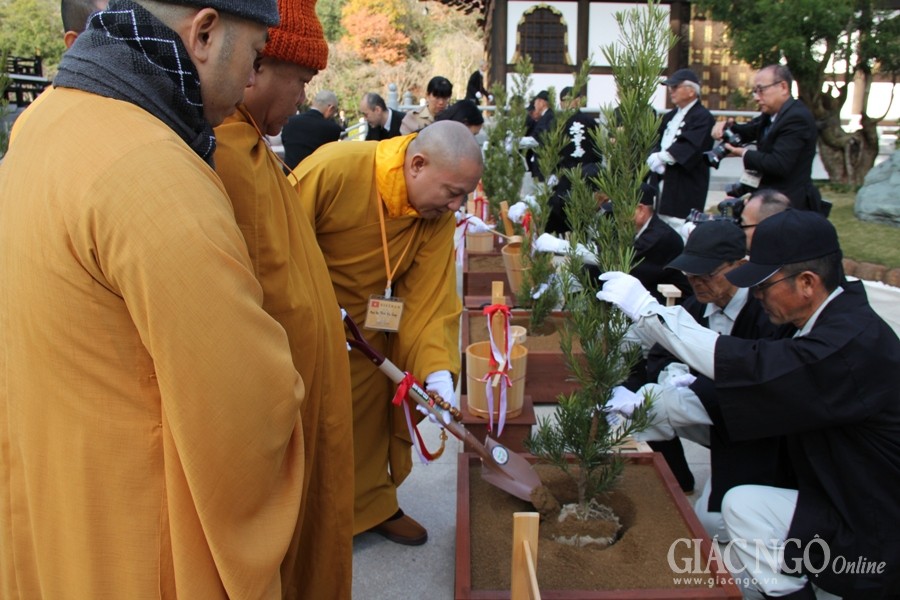 HT.Thích Gia Quang trồng cây lưu niệm