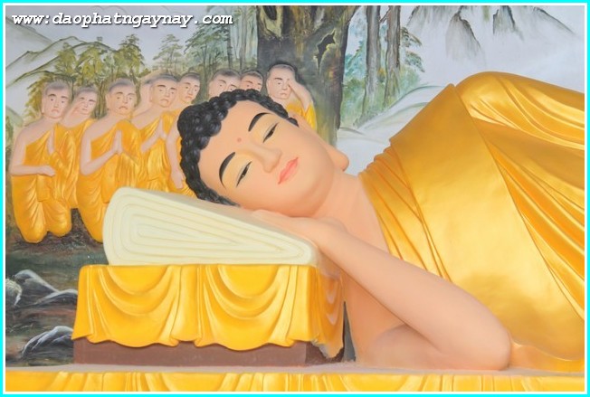 Đại lễ dâng Y Casa Kathina - PL: 2558  Tại Thiền viện Phước Sơn