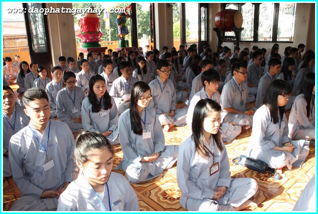 TP.Hồ Chí Minh:  Khoá Tu  Gieo Hạt Từ Tâm - Kì 32  Chủ Đề: Người Lái Đò!