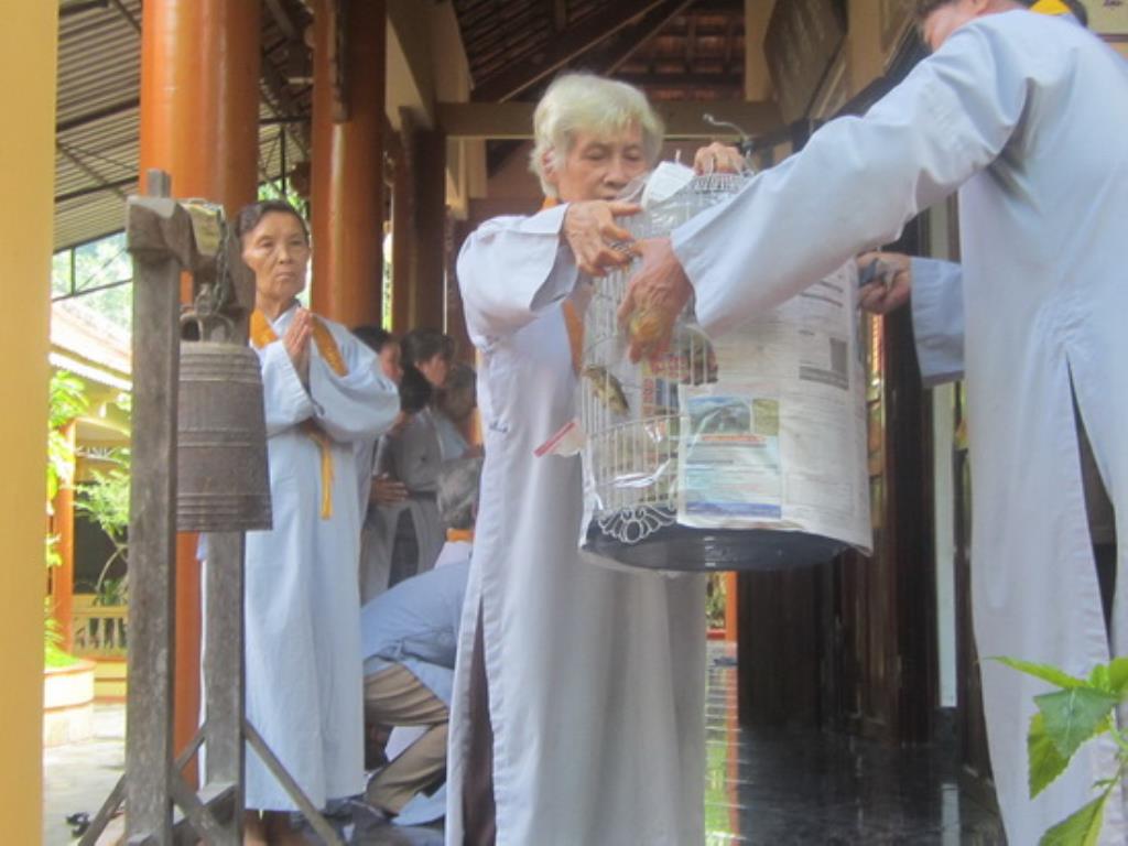 Một ngày tu tập Bát quan trai giới tại Tổ đình Thiên Bửu