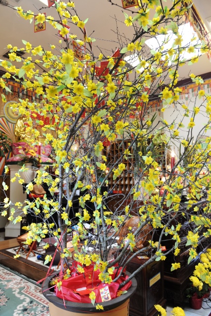 Hoa Kỳ: Lễ Phật đầu năm Ất Mùi 2015 tại chùa Phổ Từ