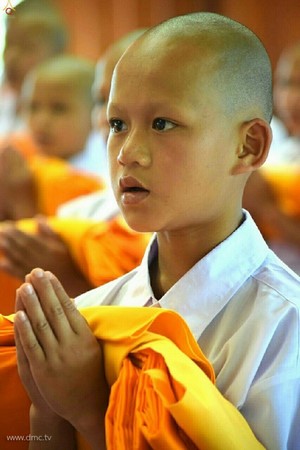 Thái Lan: Chùm ảnh xuất gia gieo duyên
