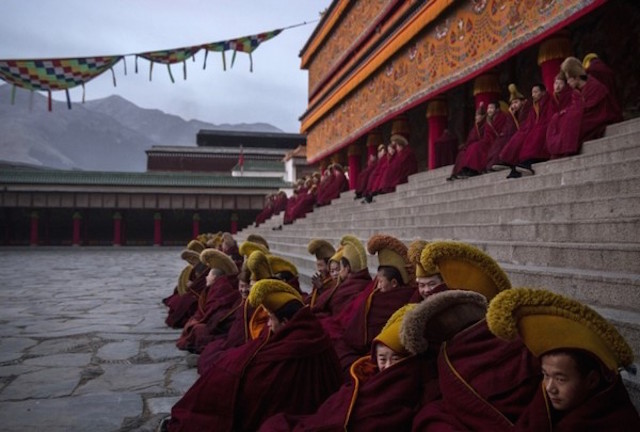 Chùm ảnh Lễ hội tổ Monlam Phật giáo Tây Tạng 2015