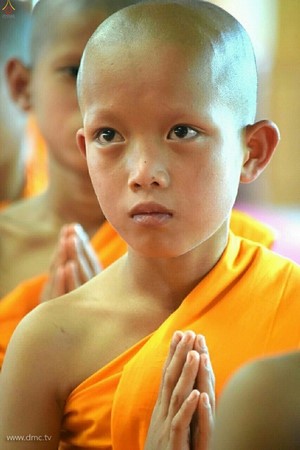 Thái Lan: Chùm ảnh xuất gia gieo duyên