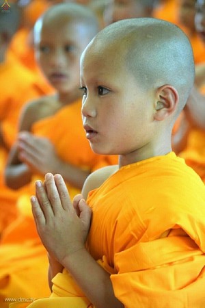 Thái Lan: Chùm ảnh xuất gia gieo duyên