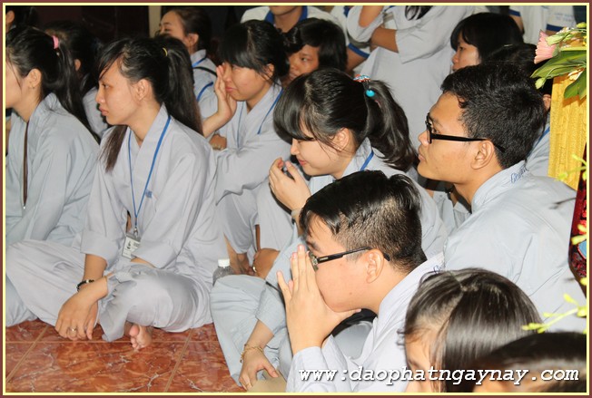 Gieo Hạt Từ Tâm 36: Bạo Lực Học Đường