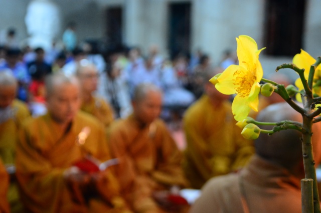 Chùm ảnh: Trang nghiêm lễ đón giao thừa Ất Mùi 2015 tại Chùa Giác Ngộ