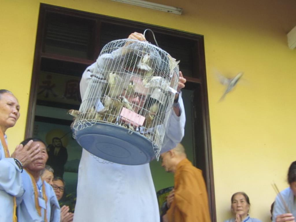 Khóa tu Bát quan trai đầu năm tại chùa Đức Hòa