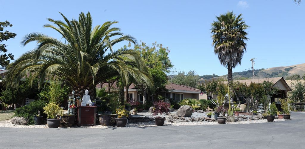 California: Chùm Ảnh Đón Mừng Đại Lễ Phật Đản PL 2559 Ở Một Số Chùa