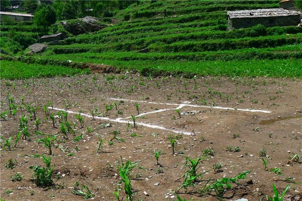 Ấn Độ: Dịp Phật đản Cựu Thủ tướng dùng trực thăng quân dụng hỗ trợ Phật Quang sơn cứu trợ Nepal