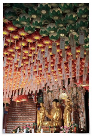 Hàn Quốc: Chùm ảnh Phật đản PL 2559 tại đảo Jeju