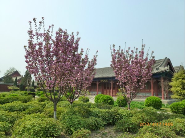 Trung Quốc: Ngôi Danh lam Cổ Tự Long Hưng, Chánh Định - Hà Bắc