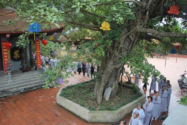 Thái Bình: Một số chùa tổ chức lễ vía Quan Thế Âm Bồ tát