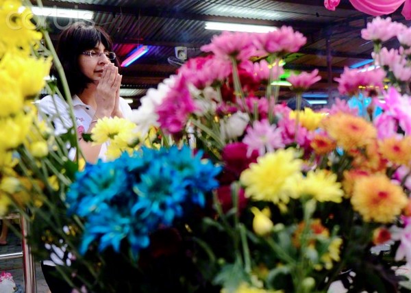 Malaysia: Không khí vui nhộn ngày Kính mừng Phật đản PL. 2559