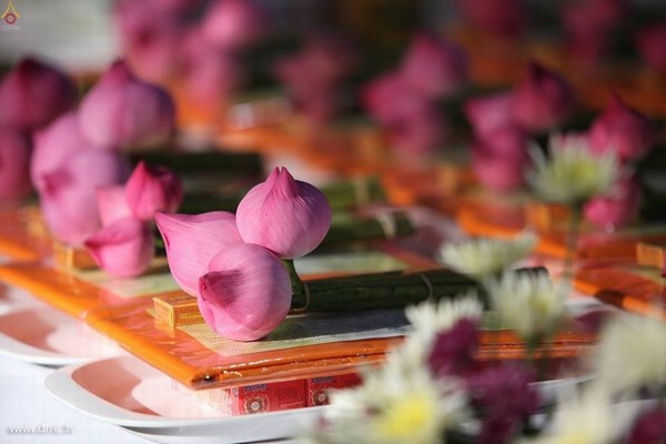 Thái Lan: Chùm ảnh Sự kiện Ngày Trái Đất tổ chức tại Tu viện viện Wat Phra Dhammakaya, Bangkok