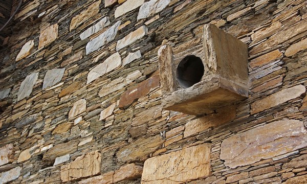 Pakistan: Phát hiện một Tu viện Phật giáo cổ đại ở Mardan