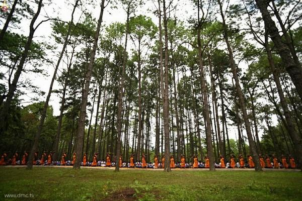 Thái Lan: Chùm ảnh Lễ cung nghinh Xá lợi và đón rước tại ngôi Cổ tự Wat Chedi Luang
