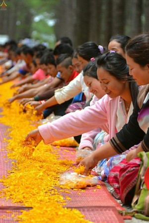Thái Lan: Chùm ảnh Lễ cung nghinh Xá lợi và đón rước tại ngôi Cổ tự Wat Chedi Luang