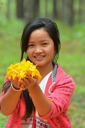 Thái Lan: Chùm ảnh Lễ cung nghinh Xá lợi và đón rước tại ngôi Cổ tự Wat Chedi Luang