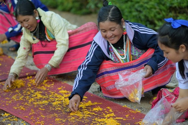 Thái Lan: Chùm ảnh Lễ cung nghinh Xá lợi và đón rước tại ngôi Cổ tự Wat Chedi Luang