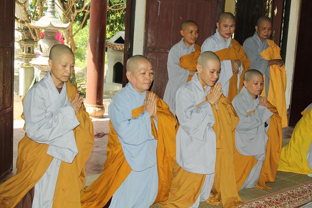 Thái Nguyên: Mùa An Cư Kiết Hạ Lại Về