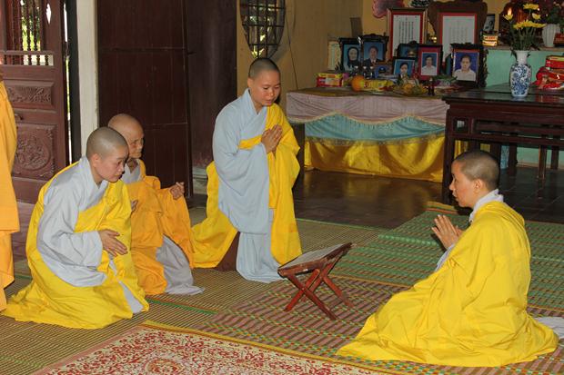 Thái Nguyên: Mùa An Cư Kiết Hạ Lại Về