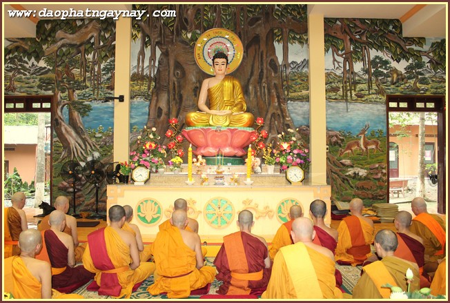 Đồng Nai: lễ nhập hạ Phật Giáo Nam Tông tại Thiền Viện Phước Sơn