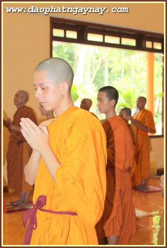 TP Hồ Chí Minh - Bình Dương - Đồng nai: Phóng sự ảnh &quot; Nét Đẹp Mùa An Cư&quot;  PL.2559 - DL.2015 (Phần Cuối)  Ba Hệ Phái (Bắc Tông, Khất Sĩ, Nam Tông)