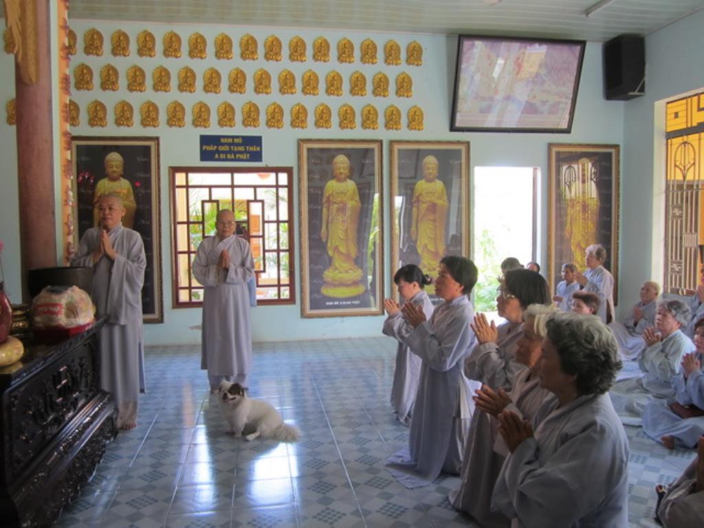 Phật tử chùa Đức Hòa hành hương cúng dường An cư kiết hạ