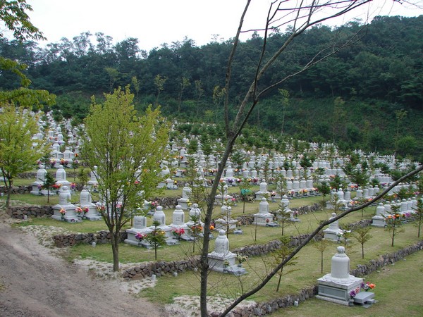Hàn Quốc Chùm ảnh ngôi Danh lam thắng tích Vạn Phật Tự