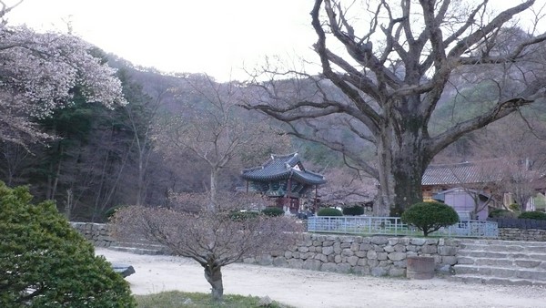 Hàn Quốc: Chùm ảnh ngôi Già lam Cổ Tự Naesosa tỉnh Jeollabuk-do