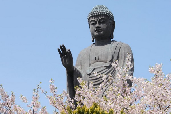 Chùm ảnh Đại tượng Phật A Di Đà Japan một trong những pho tượng lớn nhất thế giới